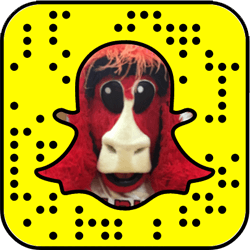 Chicago Bulls Snapchat username