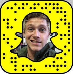 Niall Horan Snapchat username