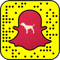 Victoria's Secret Pink