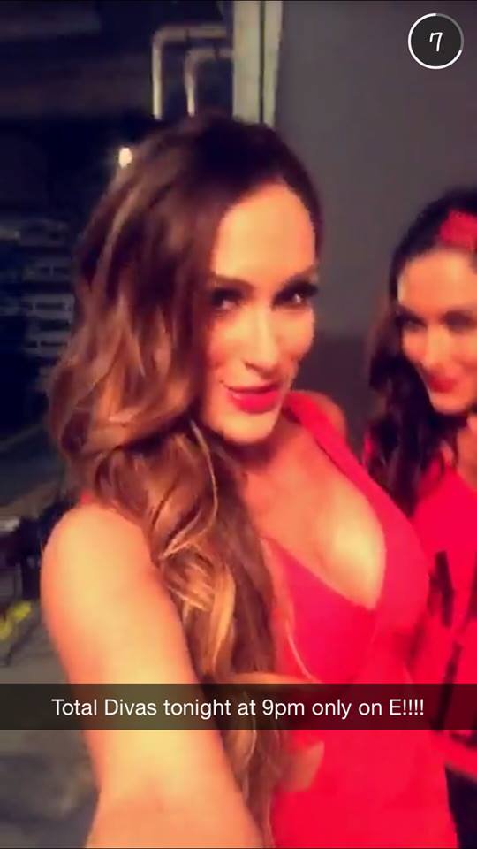 Nikki and Brie Bella Snapchat | Nikki and brie bella, Brie bella, Nikki  bella
